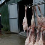 Fóssil interestelar: entenda por que o Meteorito Santa Filomena é tão importante para a ciência