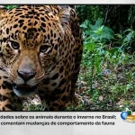 UFJF divulga edital do vestibular para os cursos de Música
