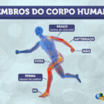 Inscrições para concurso da Câmara de Governador Valadares começam nesta segunda; salários chegam a R$ 5,1 mil