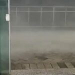 Quatro brasileiros são detidos na Islândia em abordagem a barco com ativistas contra caça às baleias