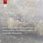 Encceja 2026: veja cartilha de redação do exame