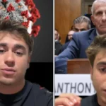 Golpes usam IA para criar exames e vídeos de gravidez falsa