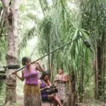 Ao leitor, uma prestação de serviço