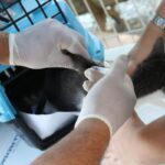 Dia da Luta PcD: educação amplia atuação no meio tecnológico