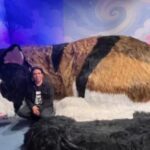 1? Museu do Gato do mundo abre as portas no Novo México